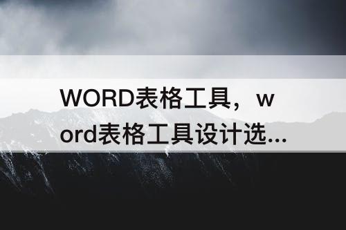 WORD表格工具，word表格工具设计选项卡数据组