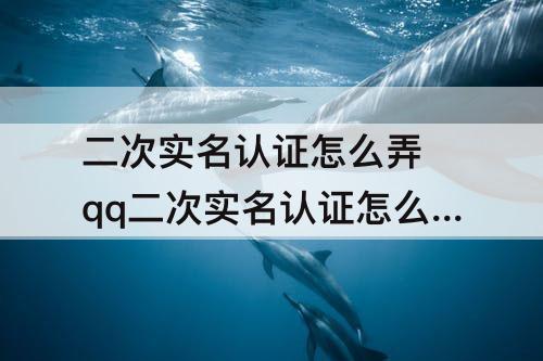 二次实名认证怎么弄 qq二次实名认证怎么弄