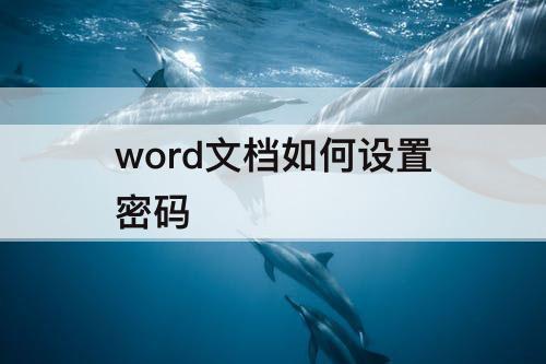 word文档如何设置密码