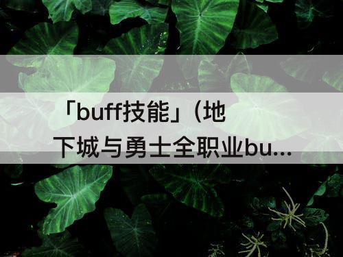 「buff技能」(地下城与勇士全职业buff技能)