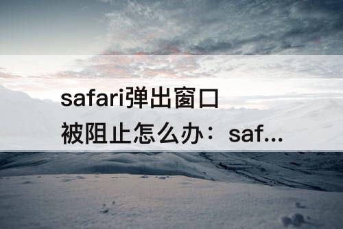 safari弹出窗口被阻止怎么办：safari弹出窗口被阻止怎么办11.5.2