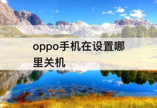 oppo手机在设置哪里关机