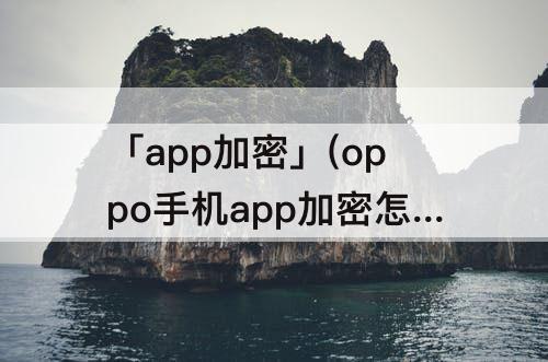 「app加密」(oppo手机app加密怎么解除)