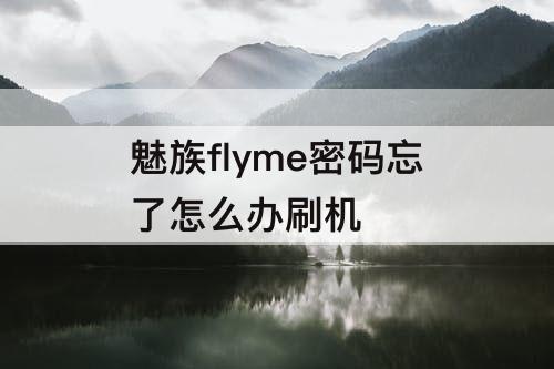 魅族flyme密码忘了怎么办刷机