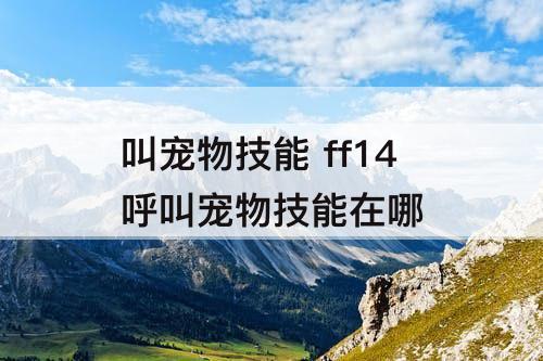 叫宠物技能 ff14呼叫宠物技能在哪