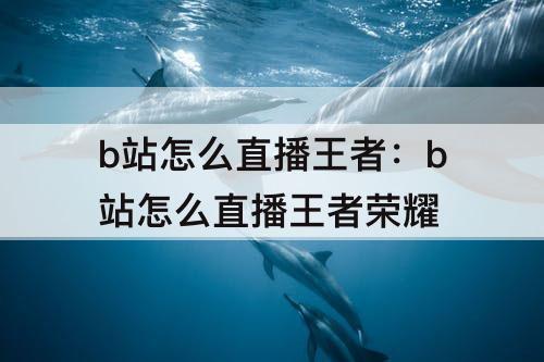 b站怎么直播王者：b站怎么直播王者荣耀