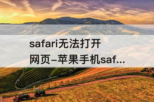 safari无法打开网页-苹果手机safari无法打开网页显示服务器停止响应