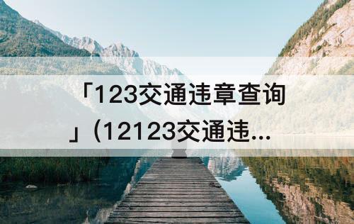 「123交通违章查询」(12123交通违章查询怎么查)