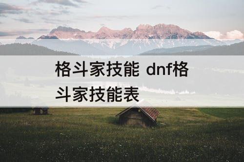 格斗家技能 dnf格斗家技能表