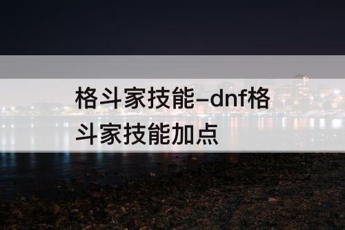 格斗家技能-dnf格斗家技能加点