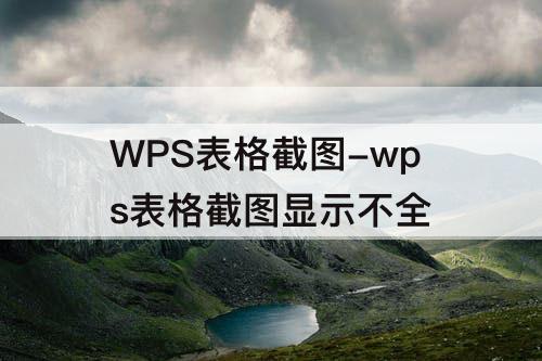 WPS表格截图-wps表格截图显示不全