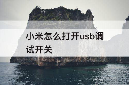 小米怎么打开usb调试开关