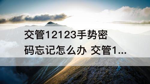 交管12123手势密码忘记怎么办 交管12123手势密码忘记怎么办视频