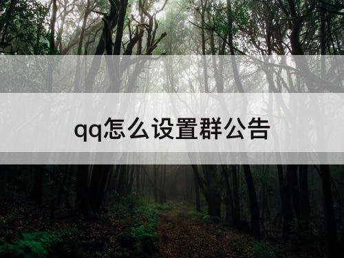 qq怎么设置群公告