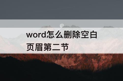 word怎么删除空白页眉第二节