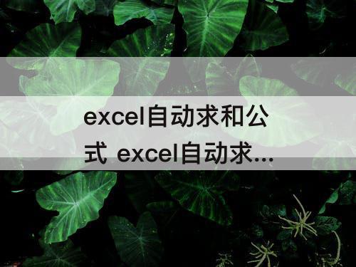 excel自动求和公式 excel自动求和公式算出来不对