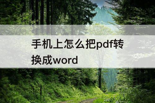 手机上怎么把pdf转换成word