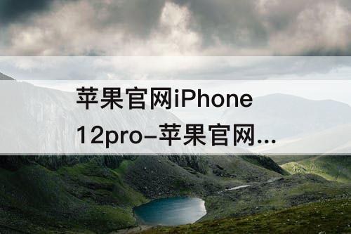 苹果官网iPhone12pro-苹果官网iphone12promax买不到了