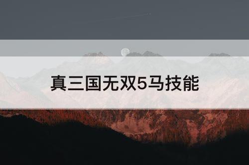 真三国无双5马技能