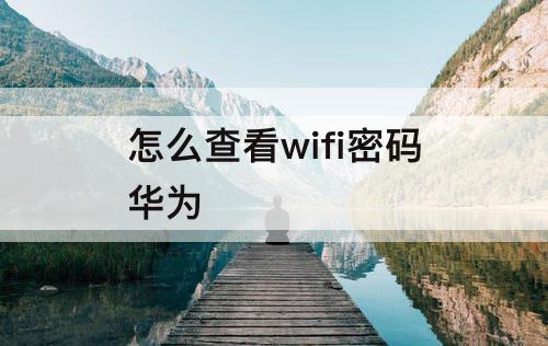 怎么查看wifi密码华为