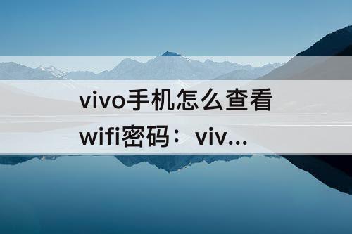 vivo手机怎么查看wifi密码：vivo手机怎么查看wifi密码 wifimasterkey