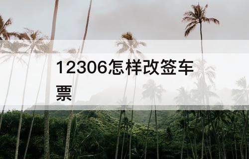 12306怎样改签车票