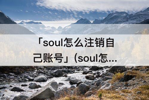 「soul怎么注销自己账号」(soul怎么注销自己账号等7天)