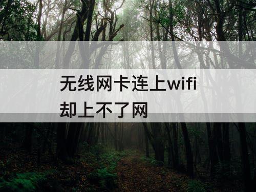 无线网卡连上wifi却上不了网