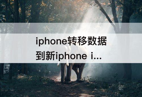 iphone转移数据到新iphone  iphone转移数据到新iphone要多久 连Wi-Fi