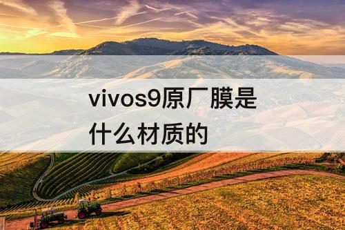 vivos9原厂膜是什么材质的