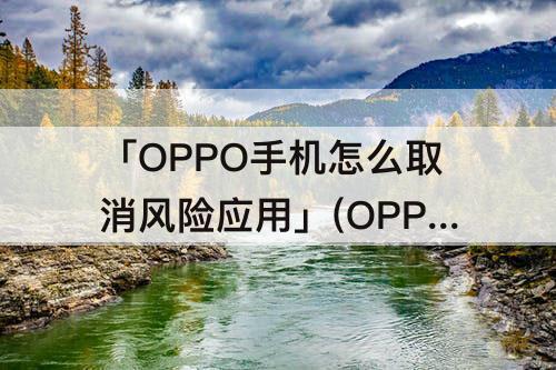 「OPPO手机怎么取消风险应用」(OPPO手机怎么取消风险应用安装授权)