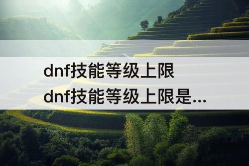 dnf技能等级上限 dnf技能等级上限是多少