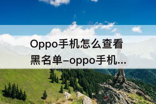 Oppo手机怎么查看黑名单-oppo手机怎么查看黑名单来电记录