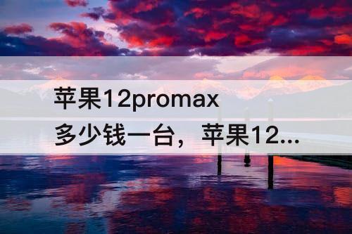 苹果12promax多少钱一台，苹果12promax多少钱一台256g