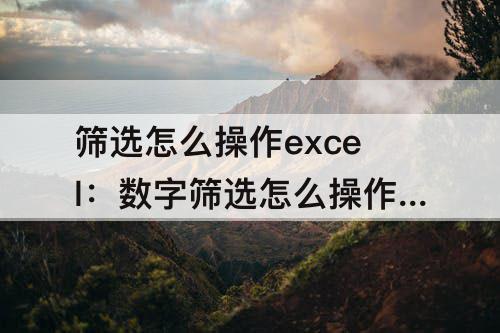 筛选怎么操作excel：数字筛选怎么操作excel