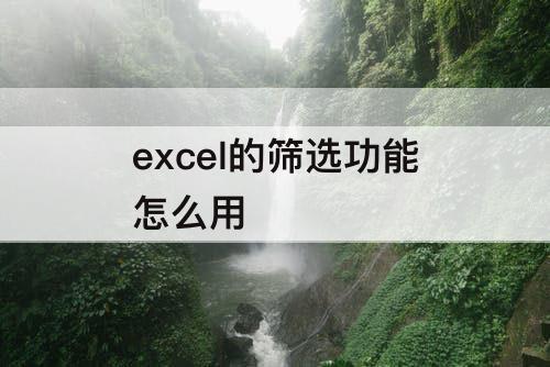 excel的筛选功能怎么用