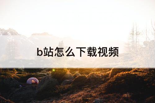 b站怎么下载视频