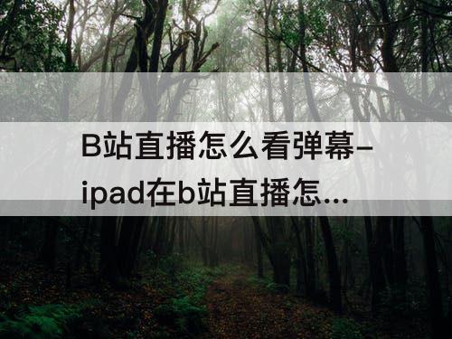 B站直播怎么看弹幕-ipad在b站直播怎么看弹幕