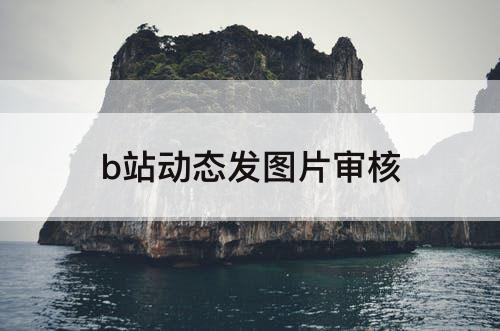 b站动态发图片审核