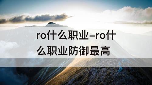 ro什么职业-ro什么职业防御最高