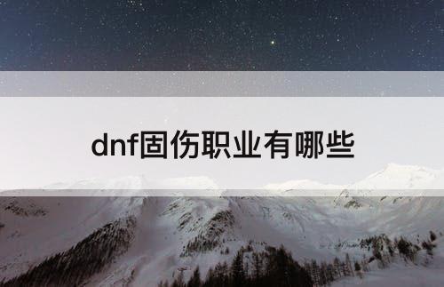 dnf固伤职业有哪些