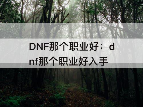 DNF那个职业好：dnf那个职业好入手