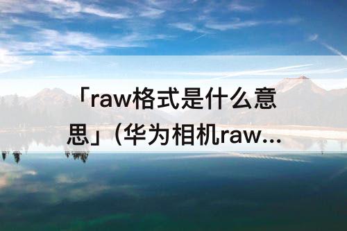 「raw格式是什么意思」(华为相机raw格式是什么意思)