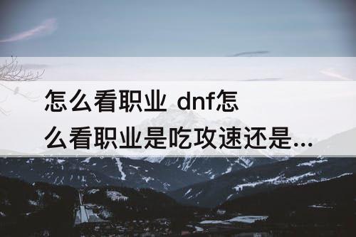 怎么看职业 dnf怎么看职业是吃攻速还是施放