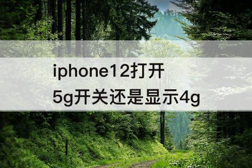 iphone12打开5g开关还是显示4g