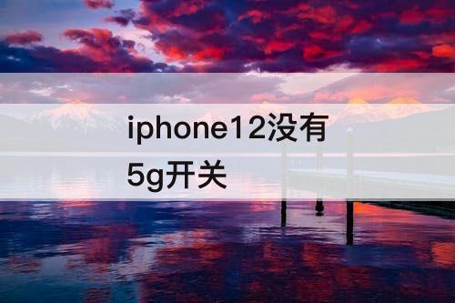 iphone12没有5g开关