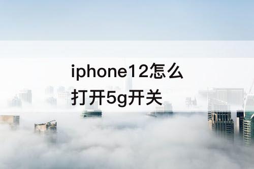 iphone12怎么打开5g开关