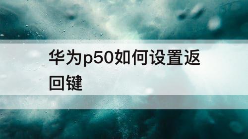 华为p50如何设置返回键