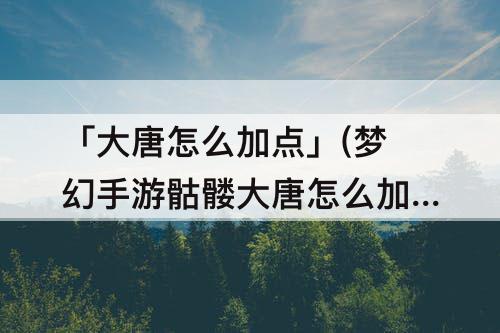 「大唐怎么加点」(梦幻手游骷髅大唐怎么加点)