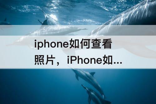 iphone如何查看照片，iPhone如何查看照片的拍摄时间地点